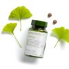 BioGinkgo